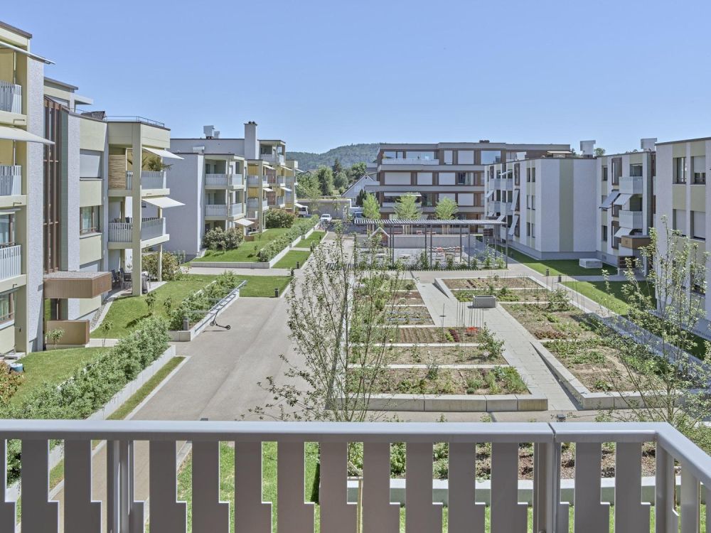 2.5 Zimmerwohnung in Embrach -  Bild 3