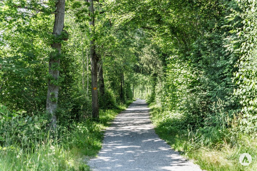 Neubauprojekt "ciel bleu" - Bild 10