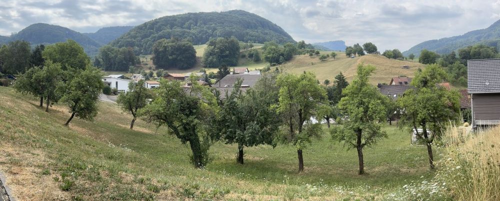 D'EFH + freistehendes EFH an idyllischer und ruhiger Lage -  Bild 2