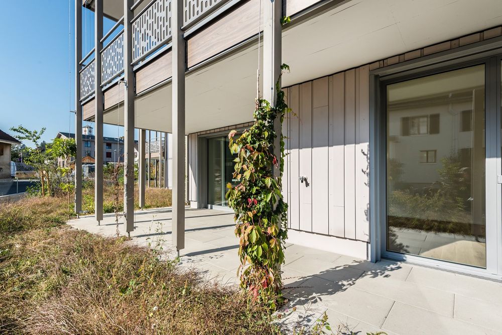 Minergie-P-Neubau im Dorfkern – 4.5-Zimmer mit Sitzplatz oder grossem Balkon -  Bild 13