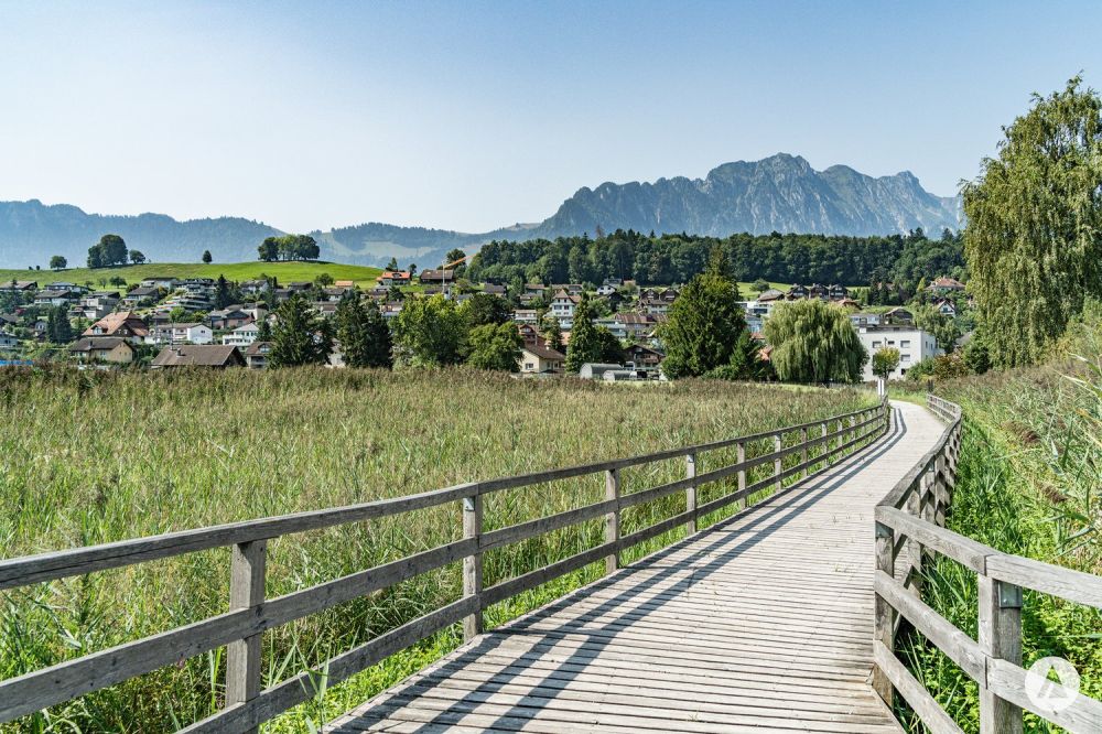 Neubauprojekt Gwattmoos: 4½-Zimmerwohnung im 1. OG - Bild 9