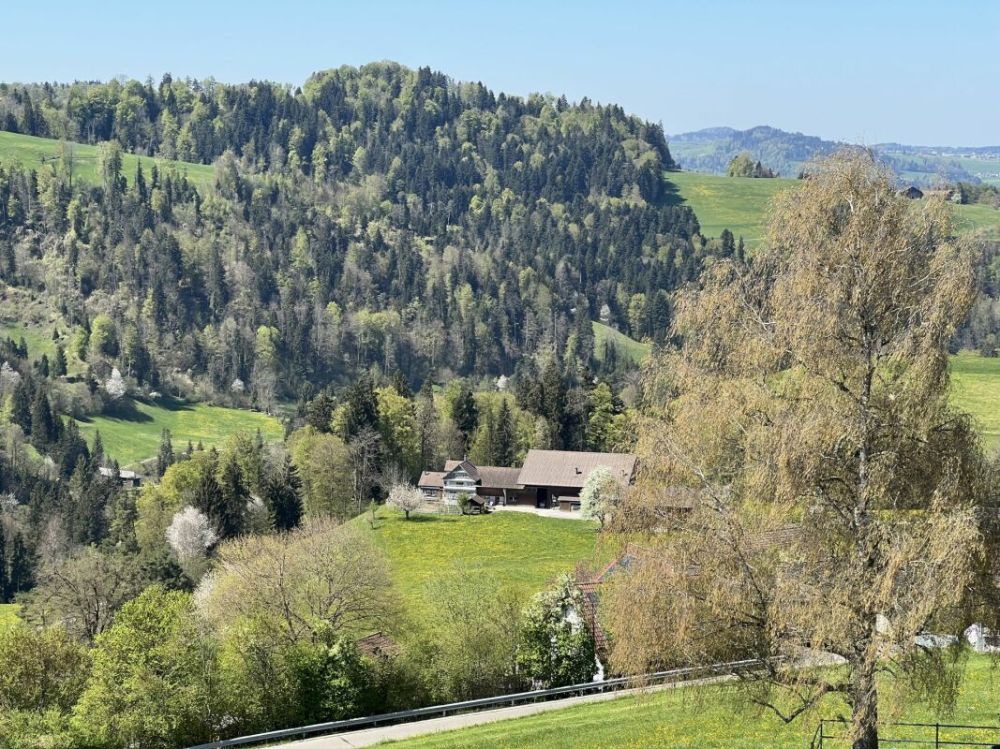 Moderne Dachwohnung mit Weitsicht C4.1 -  Bild 5