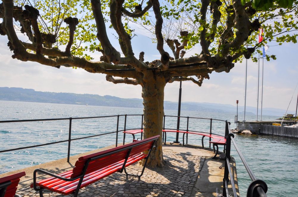 Grosszügige 5.5-Zimmer Gartenwohnung, 176m2 WF, an naturnaher Lage mit teilweiser Seesicht -  Bild 11