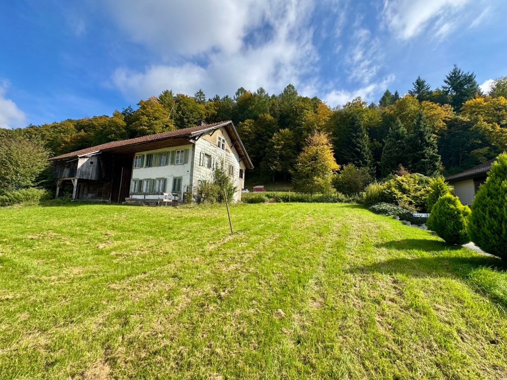 Attraktive Liegenschaft mit Entwicklungspotenzial in Murgenthal! - Bild 2