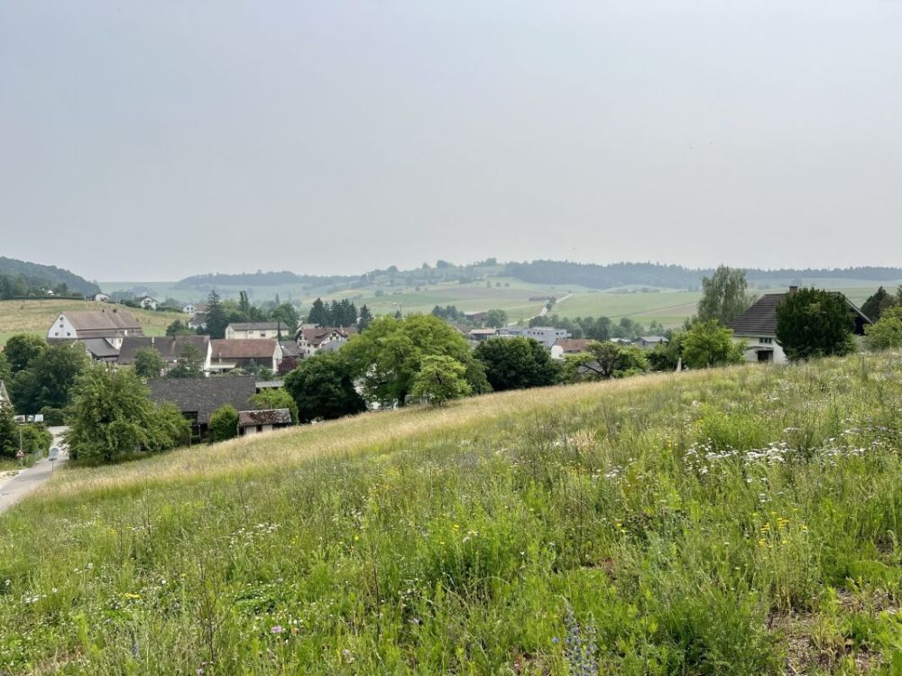 Liegenschaft mit grosser Landfläche und viel Bauland - Bauland