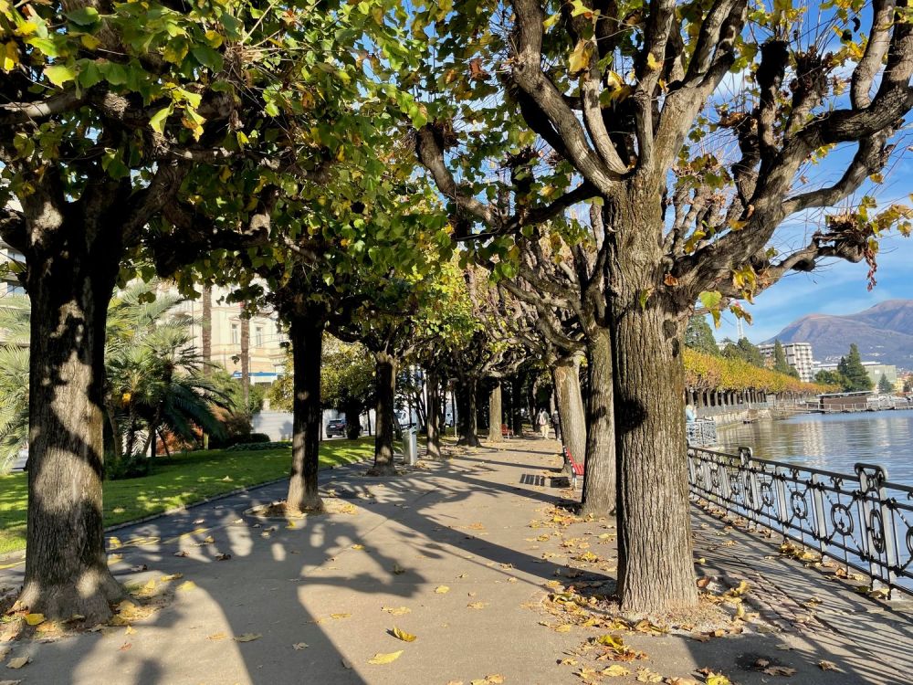 Nuovo appartamento di 3 locali con giardino nel centro di Lugano -  Bild 6