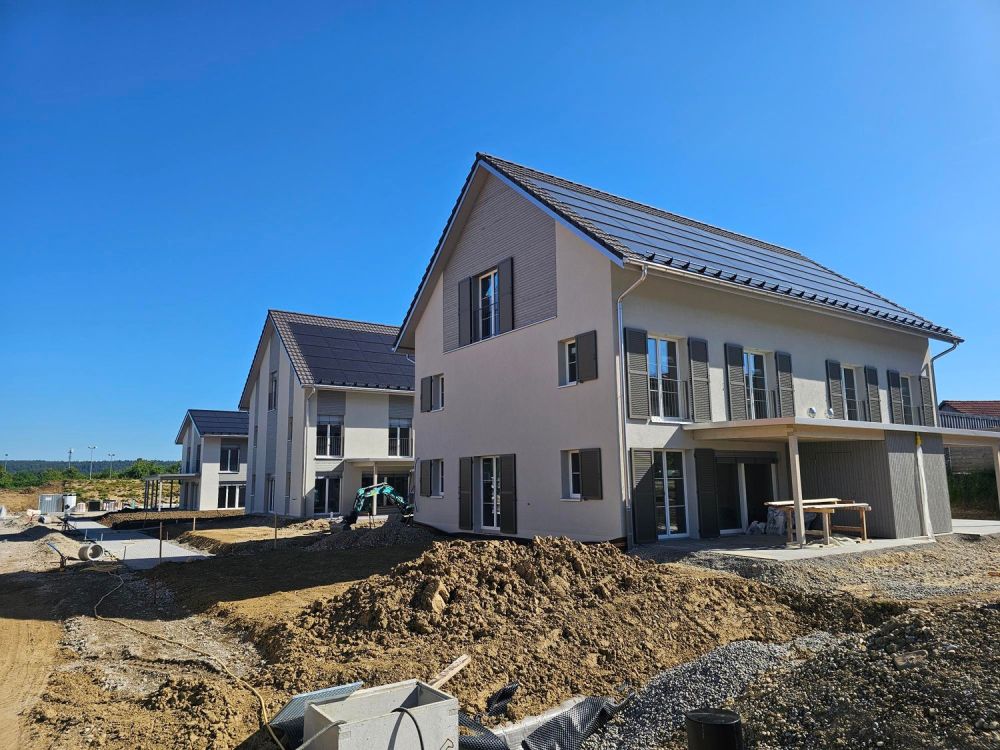 Freie Besichtigung des letzten Rheienhauses am 06.06.2026 -  Bild 4