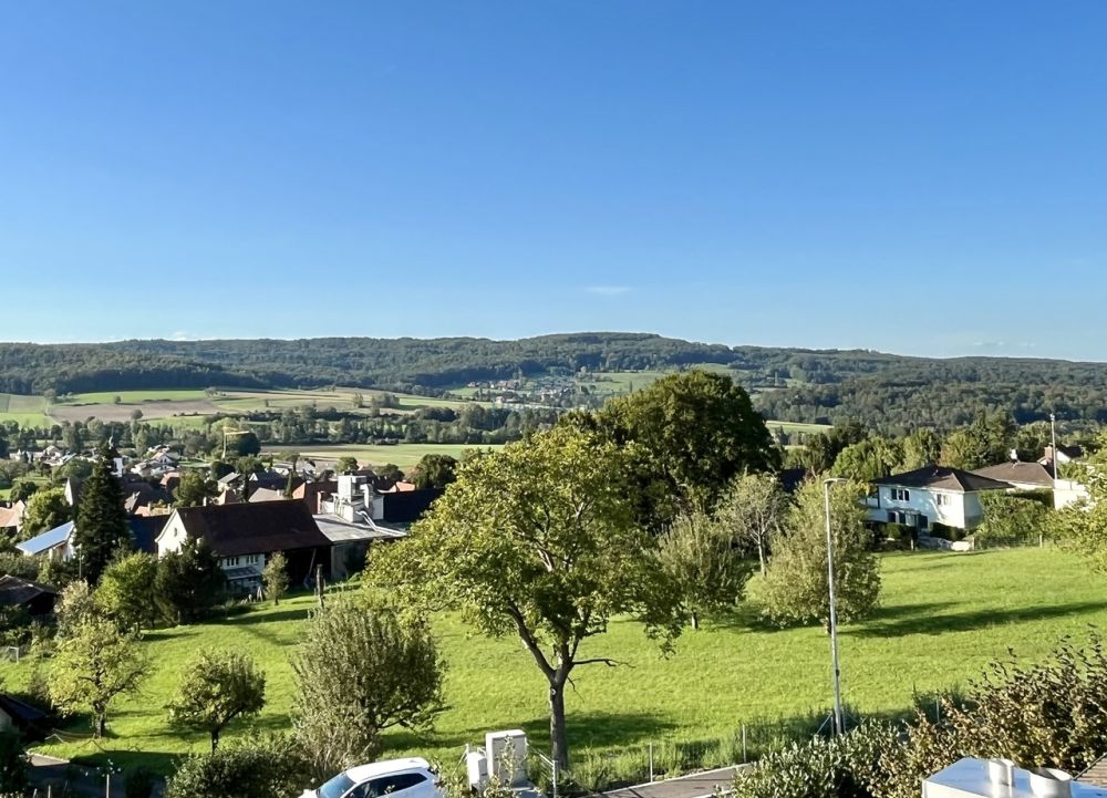 The View - Stilvolles Wohnen mit Weitblick in Rodersdorf - Aussicht / View