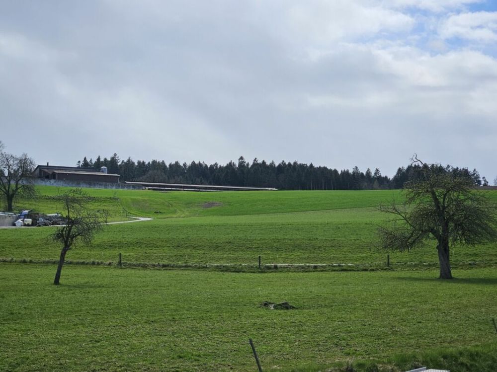 Neubau 4.5-Zimmer-Eigentumswohnung (DG mit Galerie, Nr. 8) im ländlichen Liebensberg (Gemeinde Wiesendangen) -  Bild 5