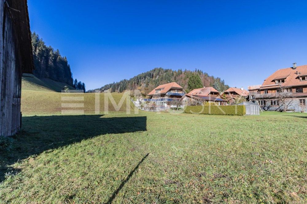 S'mittlere - Neubau-Einfamilienhaus mit Emmentaler Charme - Sie entscheiden