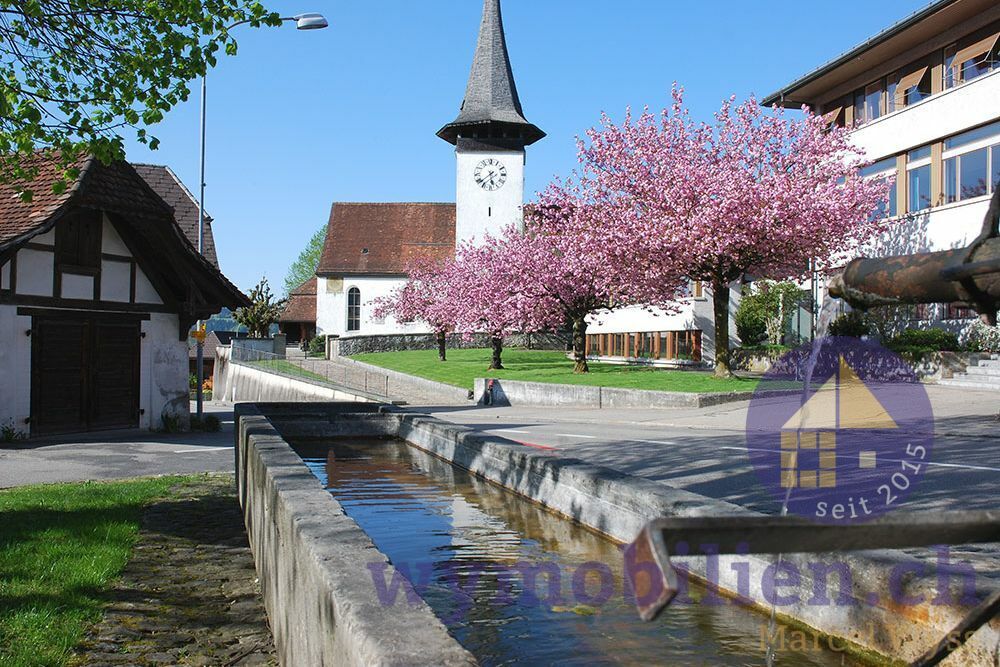 Löwen-Loft mit 3.5 Zimmer, 135m2 Wohnfläche! (W6) - Dorfidylle (Foto Website Gemeinde)