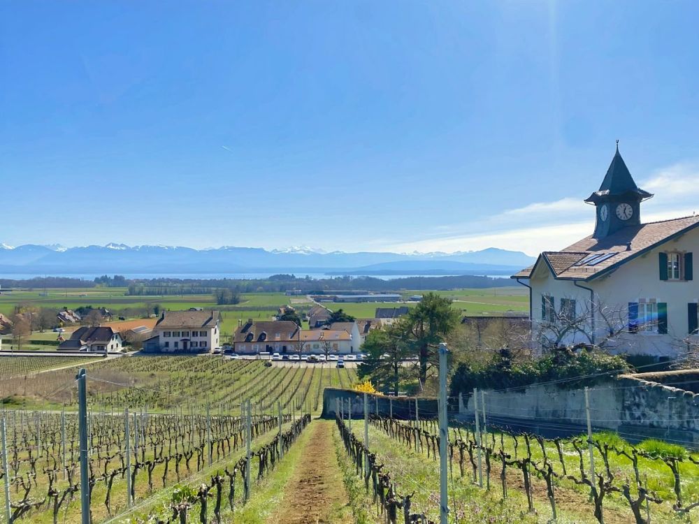 Villa Minergie avec vue et son vignoble - Bild 9