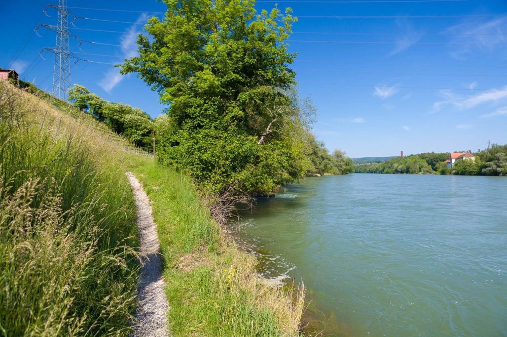 Luxuriöse 4.5-Zimmer-Attika in sonniger Böttsteiner Lage kaufen - Bild 12