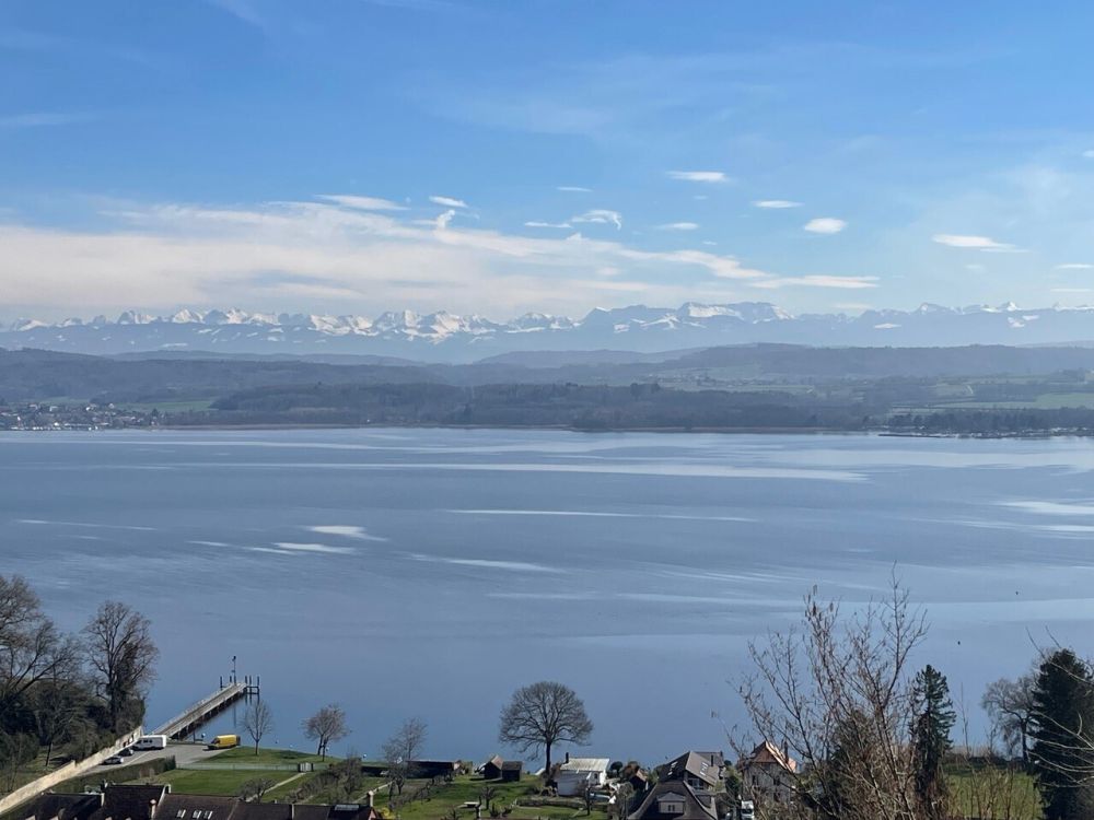Villa neuve d'exception avec vue panoramique sur le lac de Morat - Bild 8