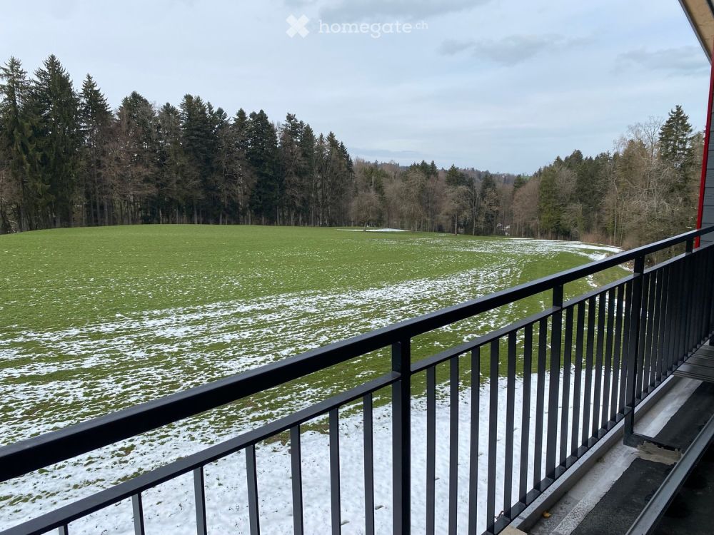 Einzigartige 3.5 Zimmer Whg am Dorfrand / NEUBAU Erstbezug -  Bild 13