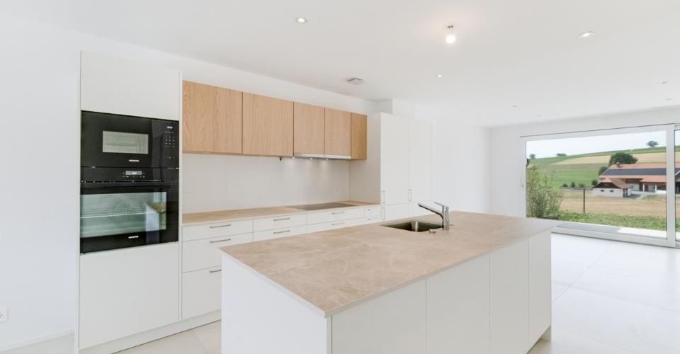 À VENDRE – Magnifique villa contemporaine à Villariaz - Maison contiguë 4.5 pièces - image - 2