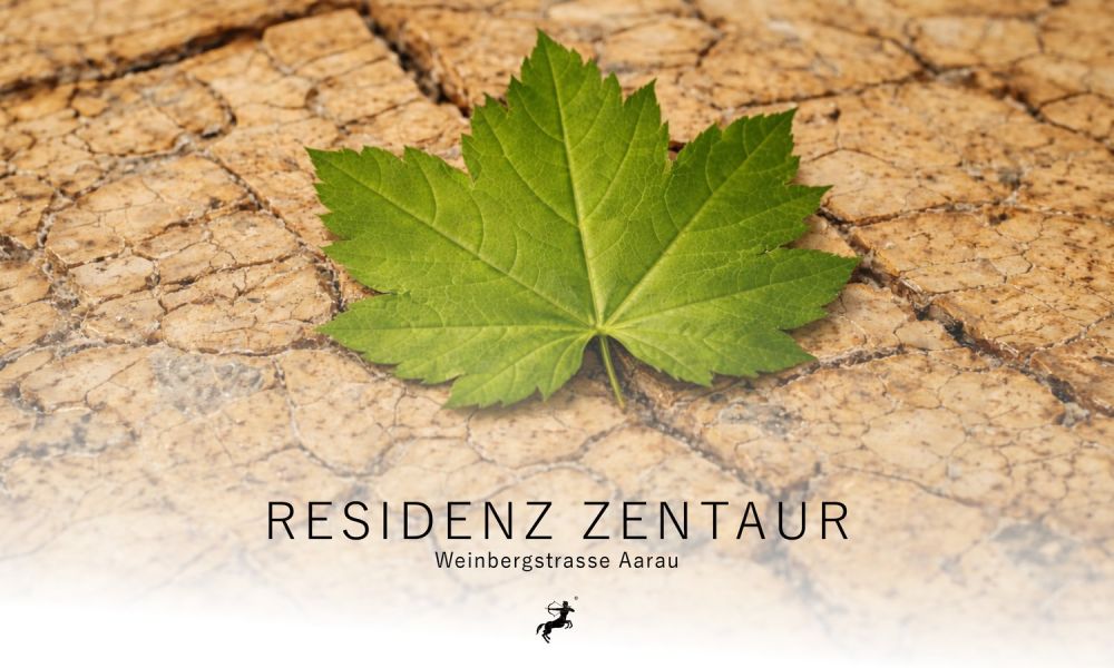 3.5 Zimmerwohnung 1.2 | Residenz Zentaur, Aarau - Bild 1