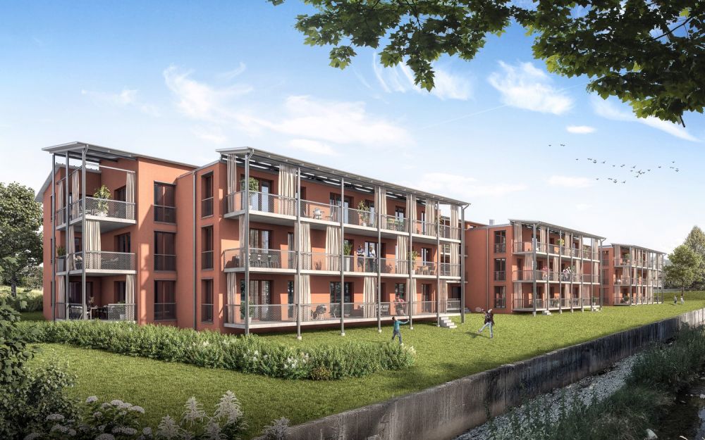 Jonadampfer - Bleiche Wald - Bild 2