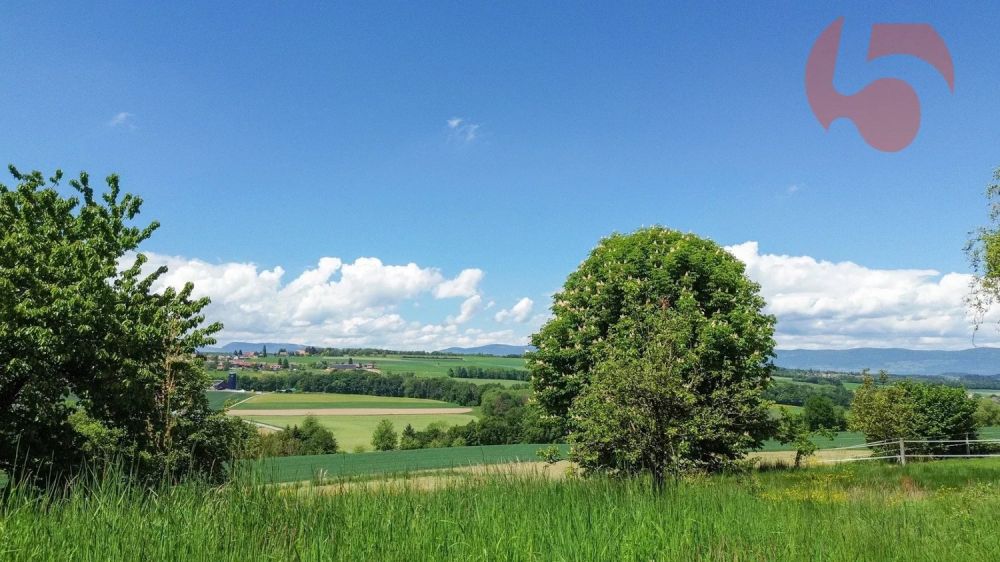 Bauvorhaben Reihenvillen 6,5 Zimmer 1 km vom LEB - Un environnement calme et proche de la nature, zone agricole en-dessous des villas