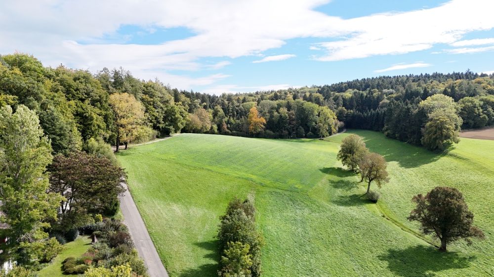 NEUBAU-JUWEL: Stilvolle 4.5-Zimmerwohnung mit Weitblick - Bild 8