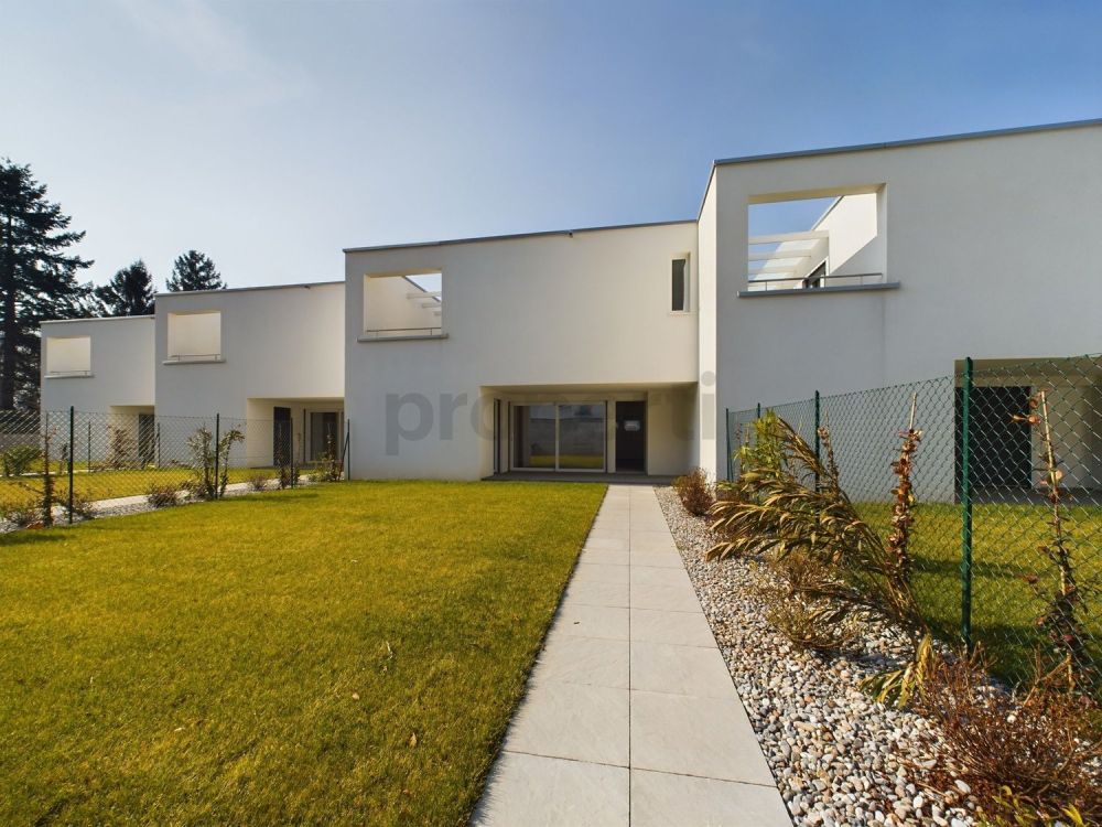 Villa da sogno con 5.5 locali a Bioggio - Image 1