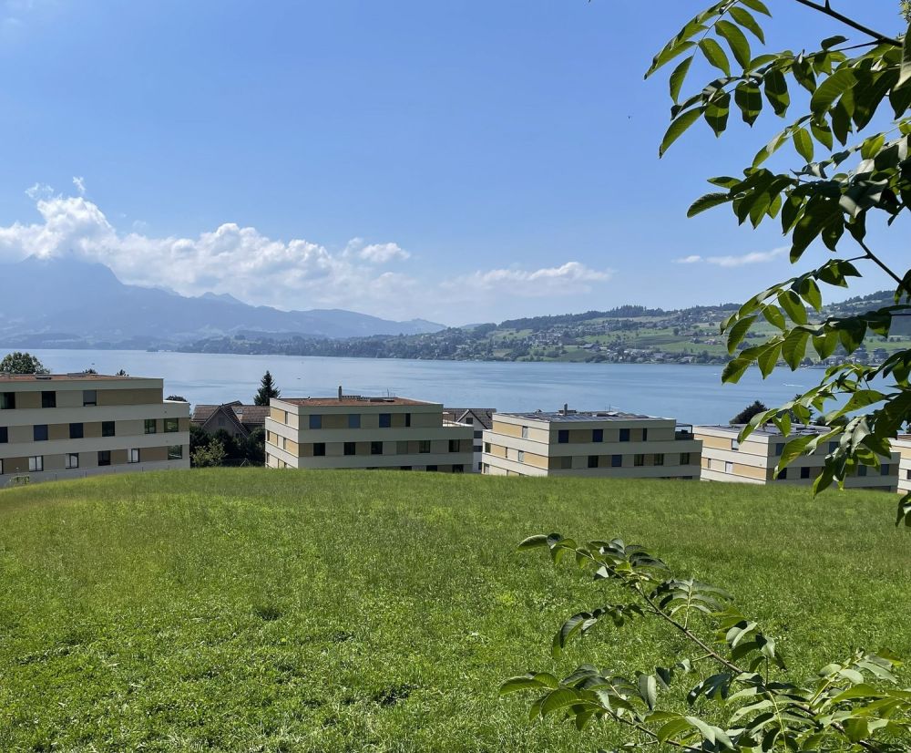Exklusive 5.5-Zimmer-Einfamilienhäuser (DEFH) - Steinmatt am Rubibach -  Bild 7