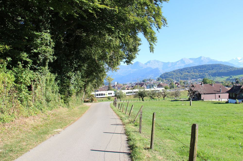 Neue 4.5-Zimmer-Eigentumswohnungen in Spiez -  Bild 5
