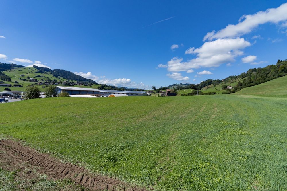 Über dem Nebel, grosszügiges Einfamilienhaus mit Umschwung und Schwimmbad - Bild 11