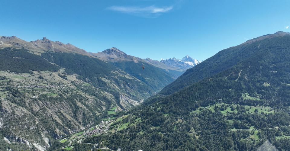 Belle opportunité dans le "Dent-Blanche Resort" d'Hérémence - Appartement 3.5 pièces - image - 9
