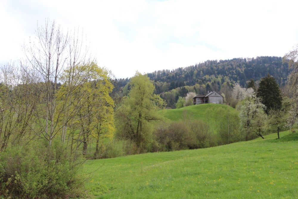 Neubau-Bauernhaus mit Minergie-Standard in idyllischer Lage -  Bild 4