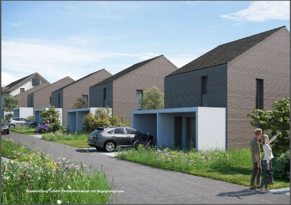 Freisehendes Einfamilienhaus - 4.5 Zimmer  -> Neubau - Hauszufahrt