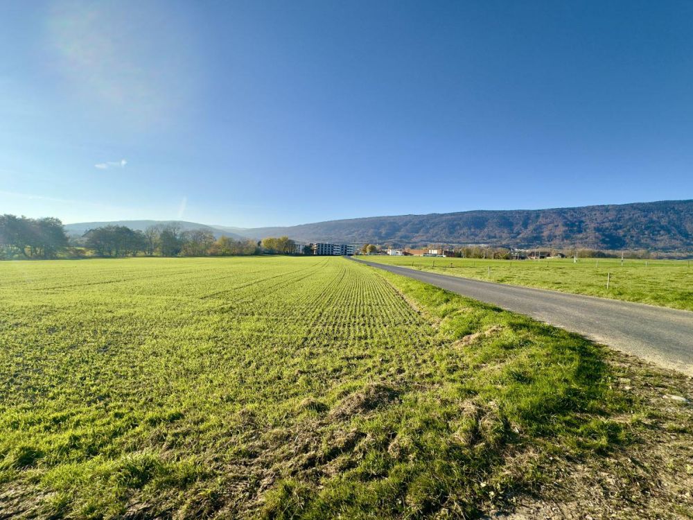 Magnifique appartement de 4.5 pièces au 1er étage - Lot B - Bild 6