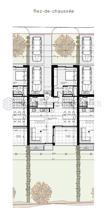 Villa C : Villa neuve contemporaine HPE à Veyrier ! -  Bild 9