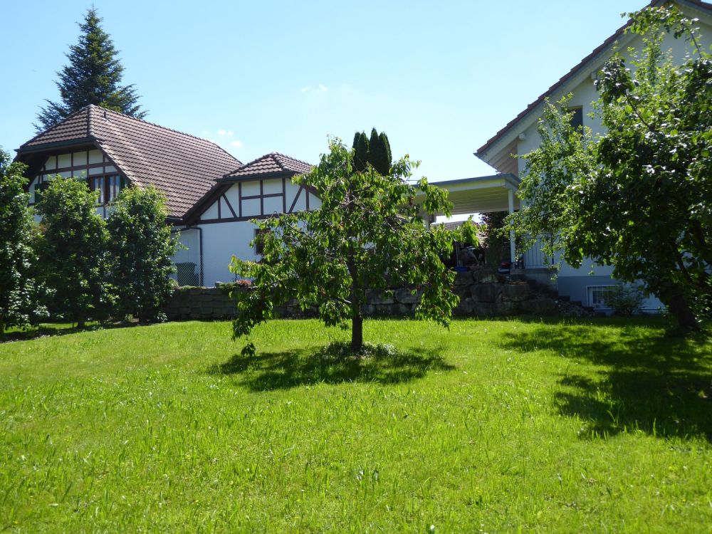 Bauland in 4558 Hersiwil -  Bild 5