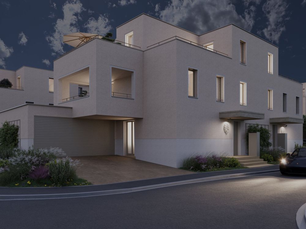 5.5 Zimmer Doppeleinfamilienhaus Löwenstrasse Flums -  Bild 1