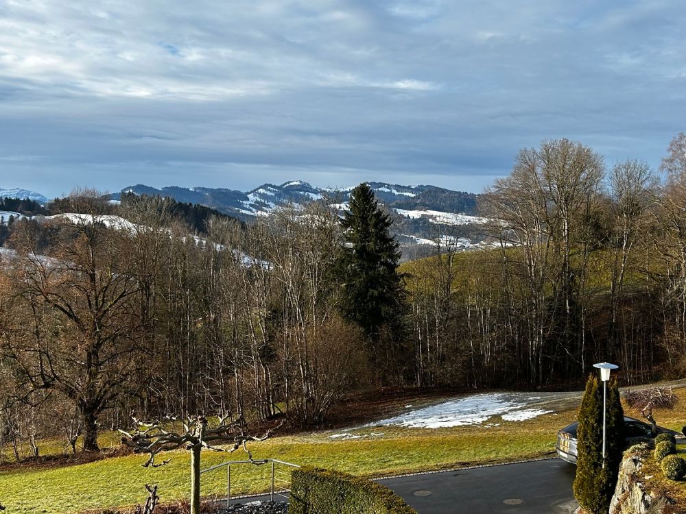 Neues 5.5-Zimmer-Einfamilienhaus mit Aussicht in Neckertal - Bild 3