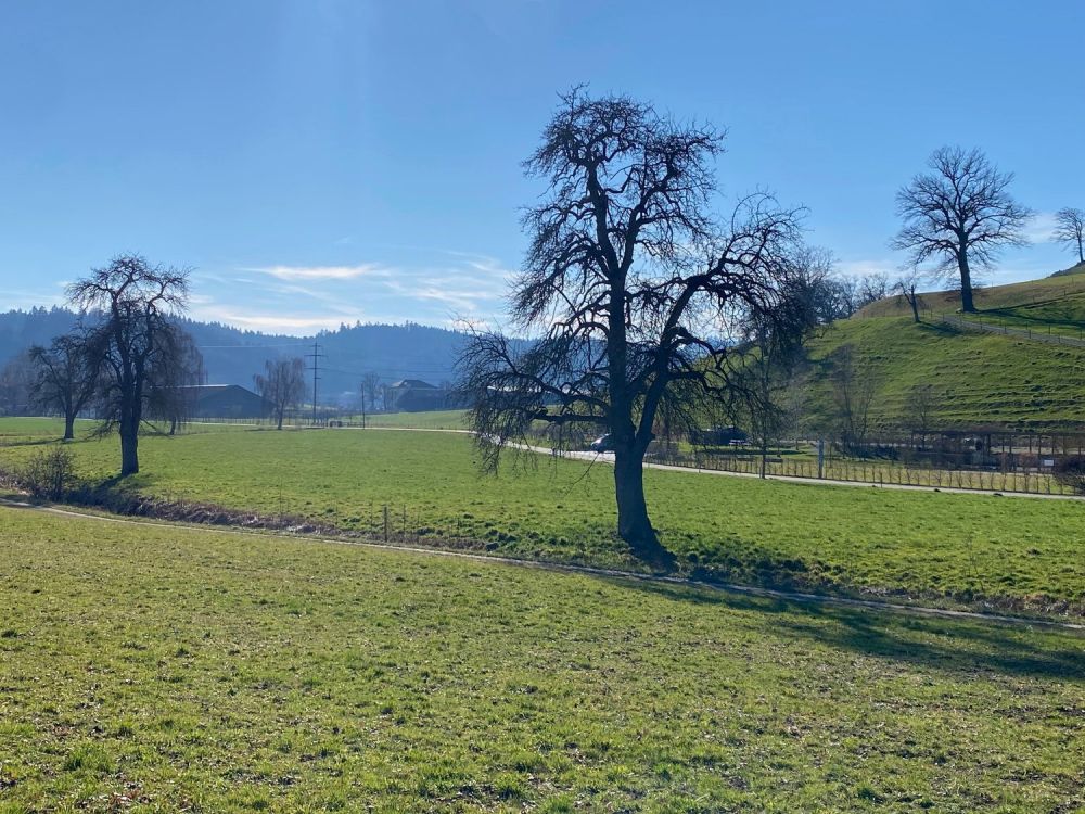 Eigentumswohnung fürs Leben -  Bild 10