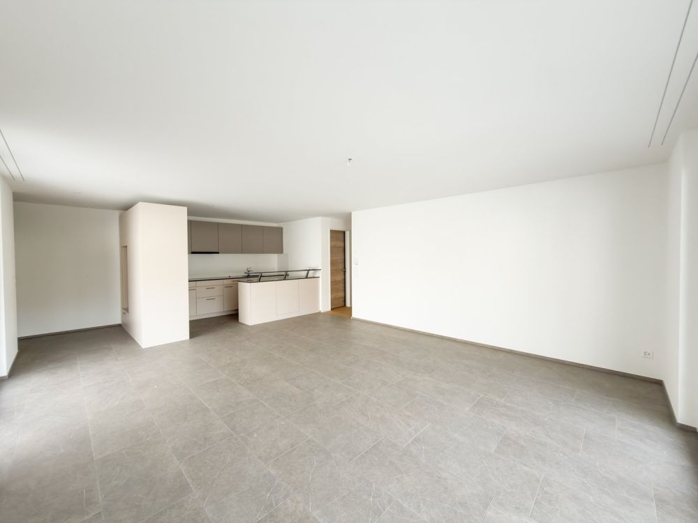 Erstvermietung - Grosszügige 4.5 Zimmer-Neubauwohnungen an ruhiger Lage -  Bild 3