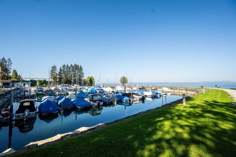 Wohnen mit Qualität - grosszügige 3.5-Zimmerwohnung mit weitläufigem Garten - Bild 5