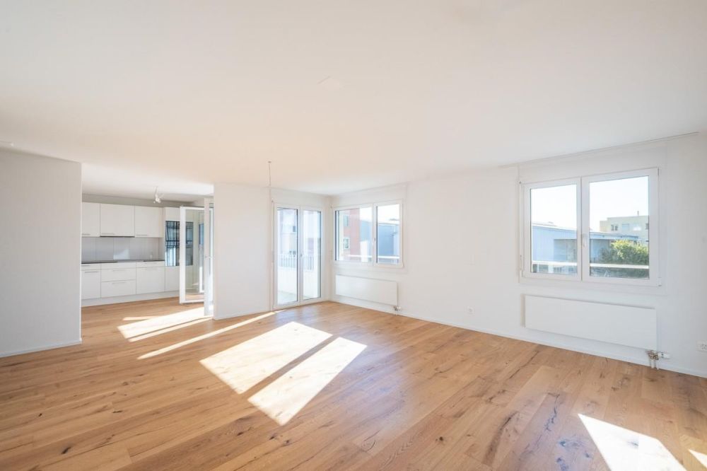 Erstbezug nach Renovation - 3.5-Zi. Eigentumswohnung - Wohnzimmer