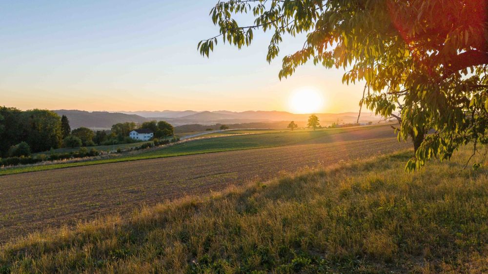 Natur. Weitsicht. Zuhause - LIORA in Remetschwil - Abendstimmung