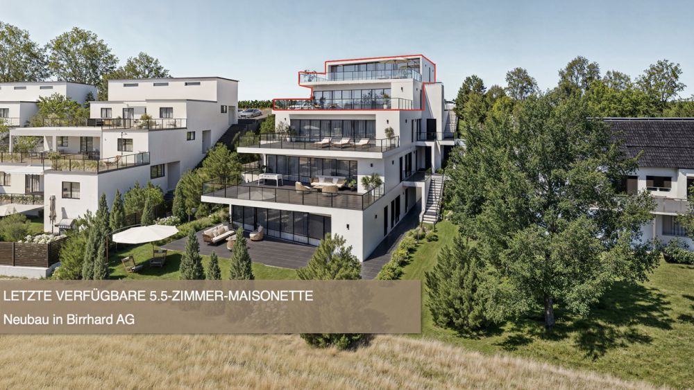 Letzte 5.5-Zi Maisonette mit zwei Terrassen Birrhard -  Bild 1