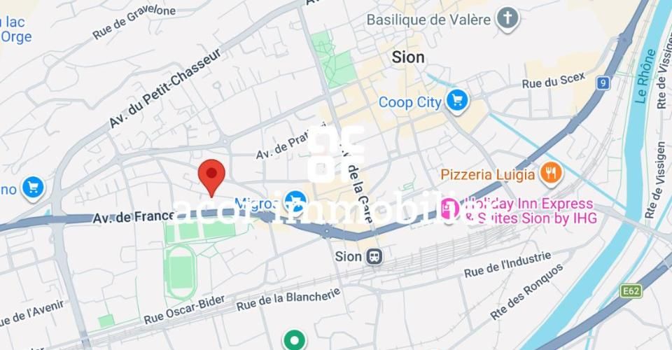 SION CENTRE – 4,5 PIÈCES DE 201 M² – JARDIN DE 106 M²- TERRASSES - SUD - Appartement 4.5 pièces - image - 6
