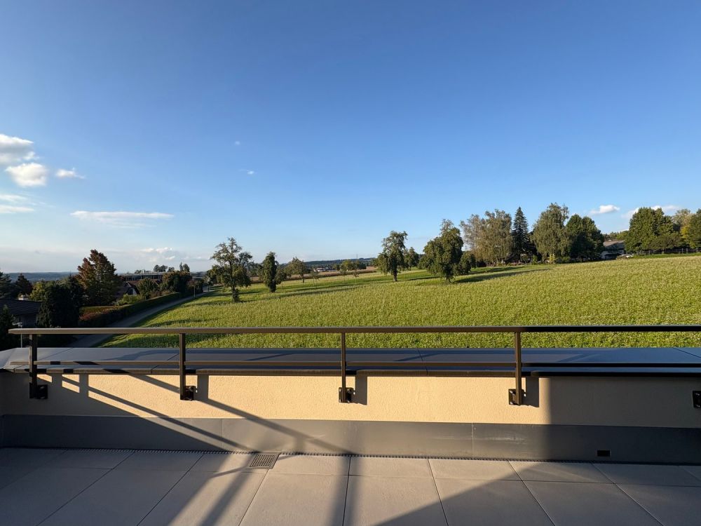 Neubau - 5.5-Zimmer-Einfamilienhaus mit Garten und Weitblick - Bild 11