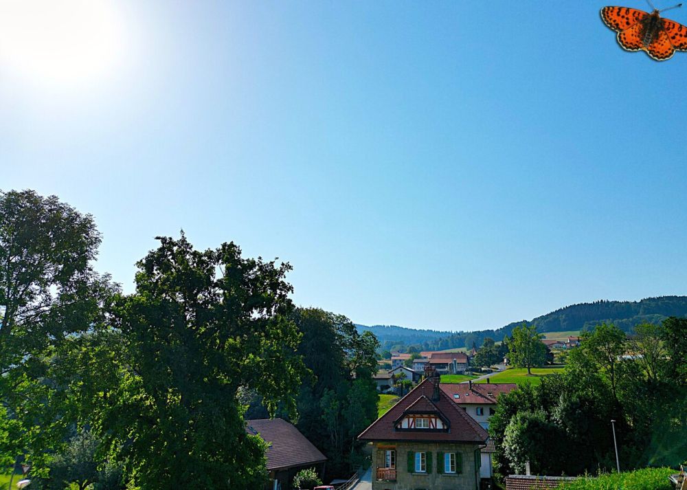 L'esprit d'une villa, les avantages d'un appartement ! - Vue depuis la terrasse