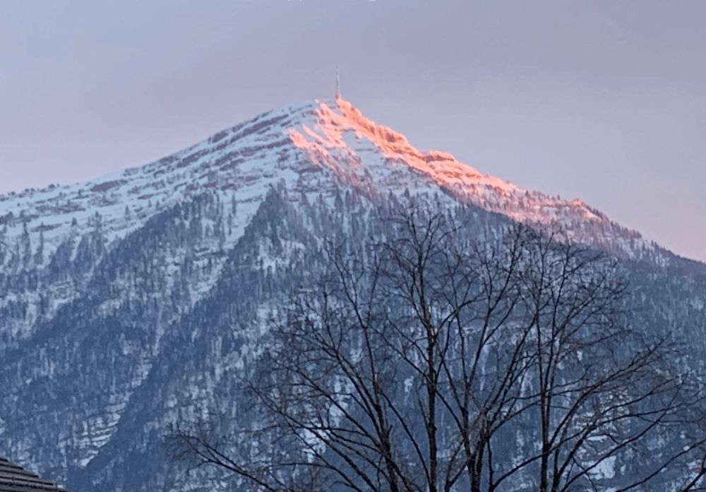 Freistehendes 2.5-Zimmer-Chalet in Walchwil – See-/Rigi-Sicht – Neubau 2026 -  Bild 4
