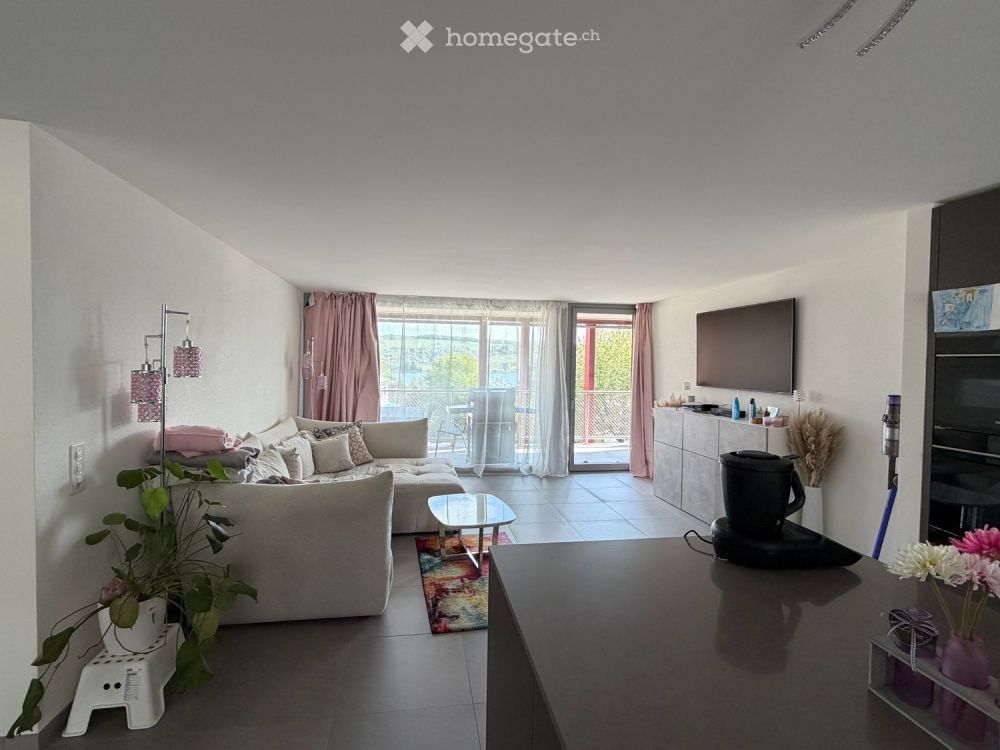 Moderne 4.5-Zimmer-Neubau-Wohnung in Boniswil mit Minergie-Standard -  Bild 1