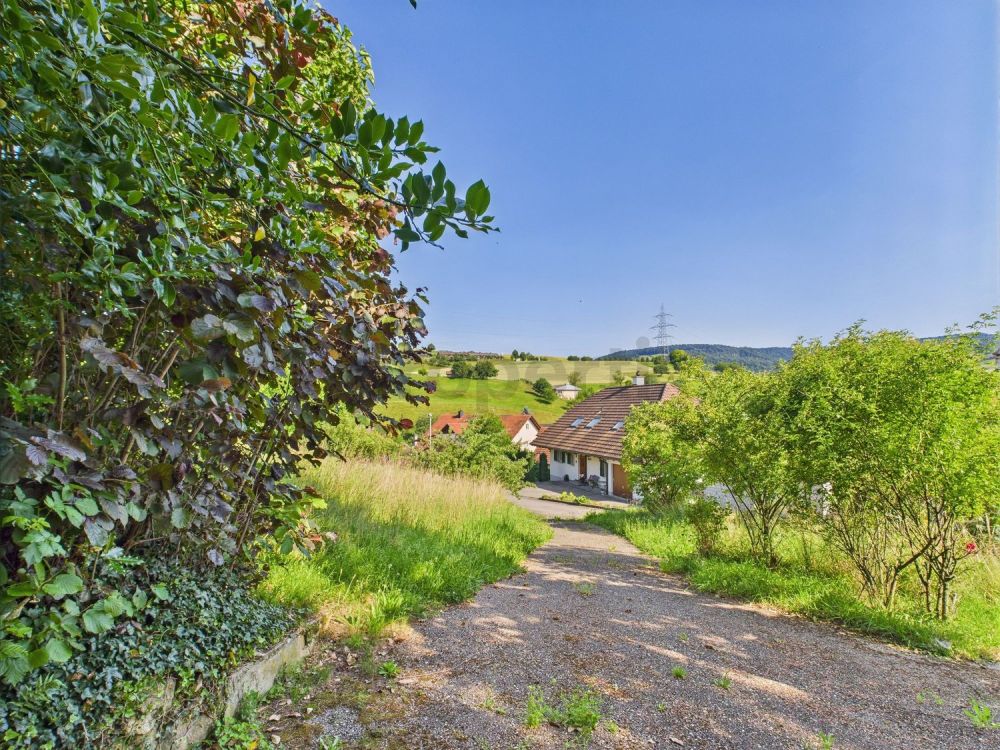 Bebautes Grundstück in Wölflinswil - Image 6