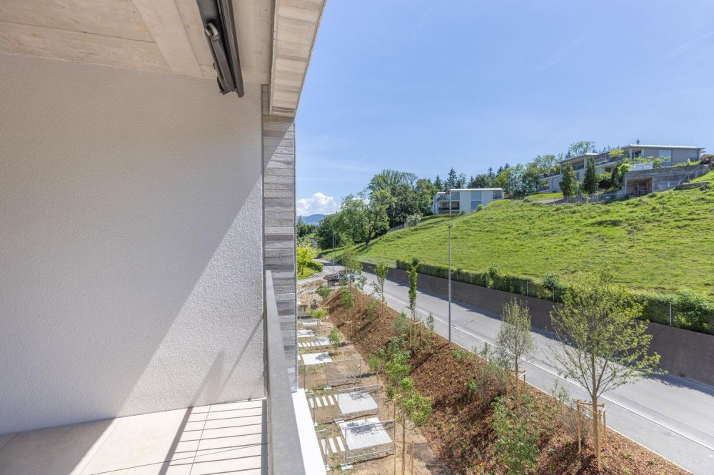 2.5 Zimmerwohnung in Au Wädenswil -  Bild 7