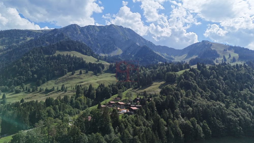 A 10min de Charmey - Deux 4.5 pcs neufs au charme alpin - Vue du chantier